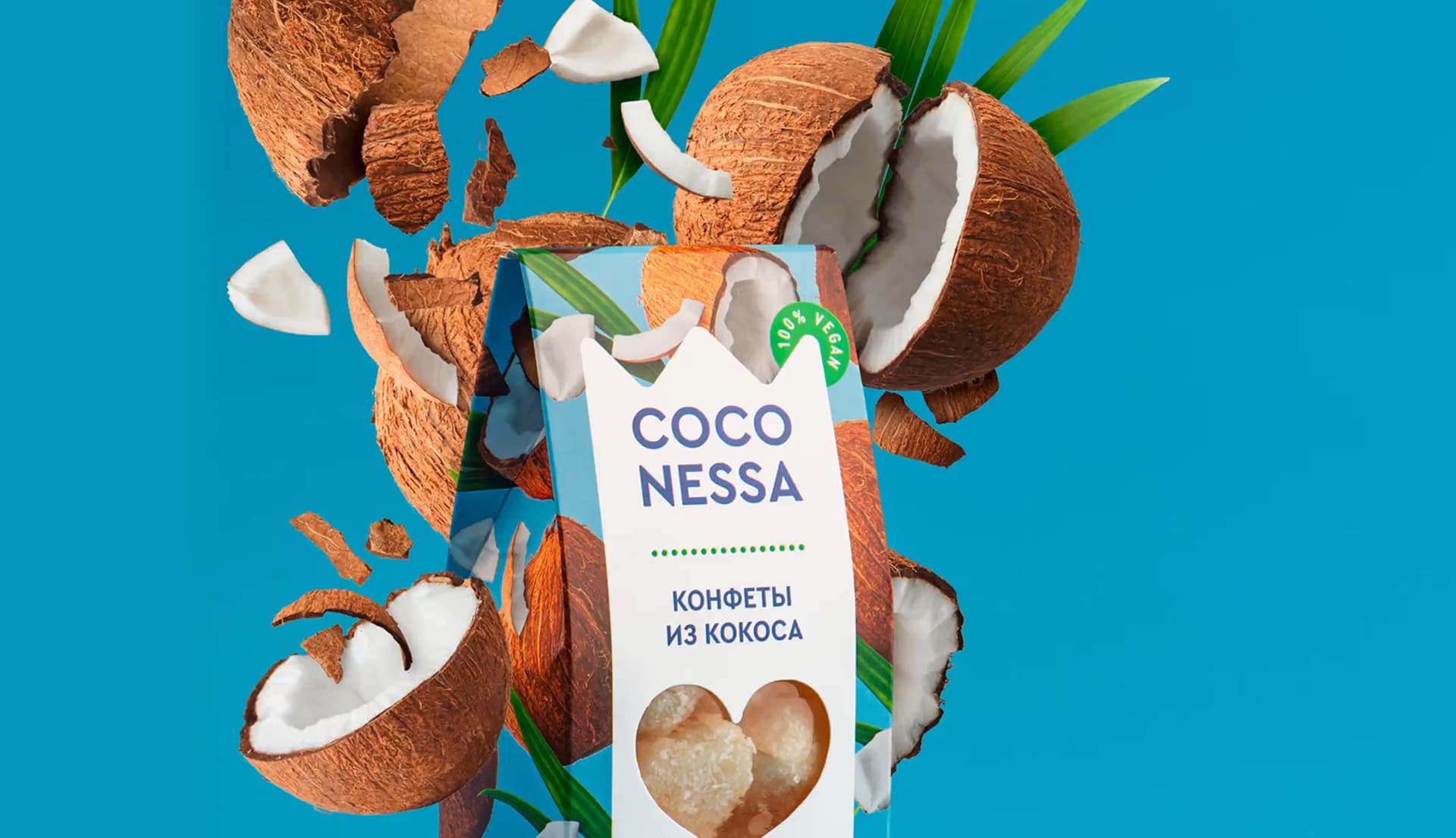 Coconessa